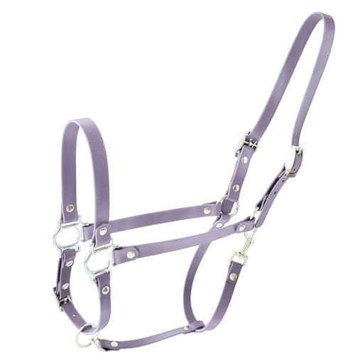 ZAVVIT BioThane Pferdehalfter – leicht, hygienisch & pflegeleicht für Stall & Weide. Verchromte Beschläge – 4 Farben, für Pony, Cob, Full (Flieder, Cob) von ZAVVIT