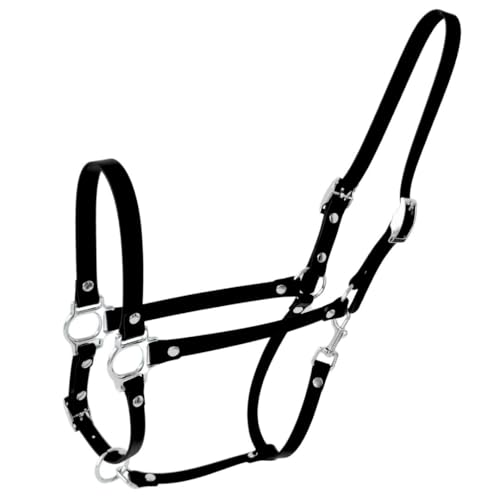ZAVVIT BioThane Pferdehalfter – leicht, hygienisch & pflegeleicht für Stall & Weide. Verchromte Beschläge – 4 Farben, für Pony, Cob, Full (Schwarz, Full) von ZAVVIT