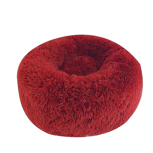ZAYIUKI Katzenbett,weiches,handgefertigtes Haustierbett für Katzen oder kleine Hunde,abnehmbares rundes Bett für Herbst-Winter-Schlafmöbel im Innenbereich ZAYIUKI Katzenbett,weiches,handgefertigtes Haustierbett für Katzen oder kleine Hunde,abnehmbares rundes Bett für Herbst-Winter-Schlafmöbel im Innenbereich von ZAYIUKI