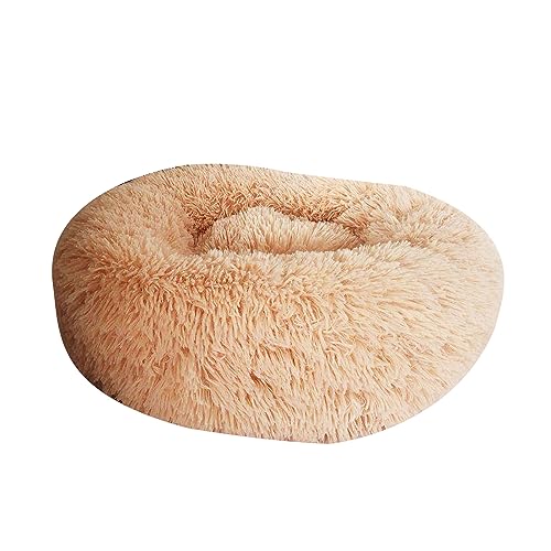 ZAYIUKI Katzenbett,weiches,handgefertigtes Haustierbett für Katzen oder kleine Hunde,abnehmbares rundes Bett für Herbst-Winter-Schlafmöbel im Innenbereich ZAYIUKI Katzenbett,weiches,handgefertigtes Haustierbett für Katzen oder kleine Hunde,abnehmbares rundes Bett für Herbst-Winter-Schlafmöbel im Innenbereich von ZAYIUKI