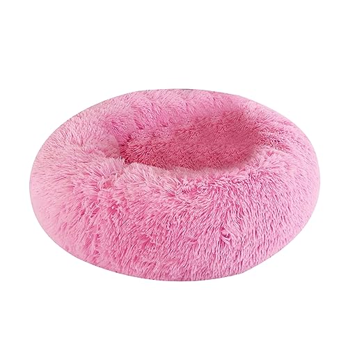 ZAYIUKI Katzenbett,weiches,handgefertigtes Haustierbett für Katzen oder kleine Hunde,abnehmbares rundes Bett für Herbst-Winter-Schlafmöbel im Innenbereich ZAYIUKI Katzenbett,weiches,handgefertigtes Haustierbett für Katzen oder kleine Hunde,abnehmbares rundes Bett für Herbst-Winter-Schlafmöbel im Innenbereich von ZAYIUKI