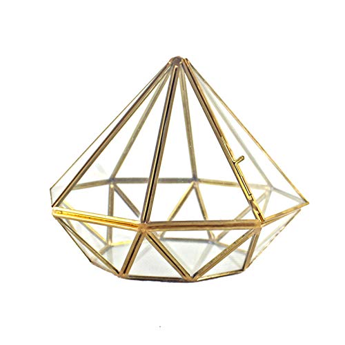 ZAYIUKI handgefertigtes Gold offenes Glas Geometrisches Terrarium Messtrum Diamant Sukkulente Farne Moos Pflanze Anzeige Container Balkon klein von ZAYIUKI