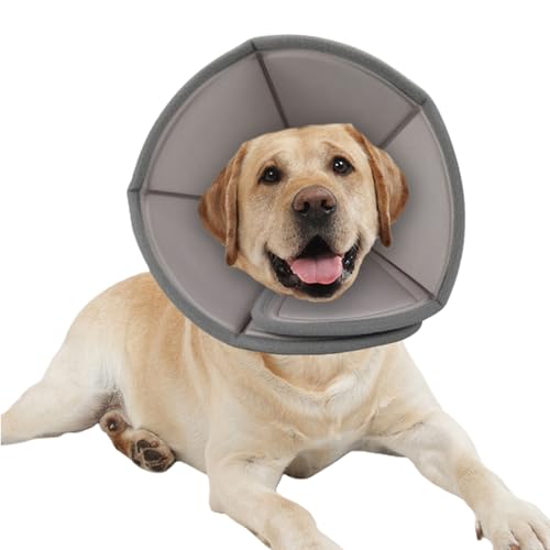 Leichter Genesungskegel für Haustiere, Kätzchen, kleine und große Hunde, Genesungshalsband mit Aufkleber, Hunde-Genesungshalsband, flexibel, weich für große Hunde Leichter Genesungskegel für Haustiere, Kätzchen, kleine und große Hunde, Genesungshalsband mit Aufkleber, Hunde-Genesungshalsband, flexibel, weich für große Hunde von ZBIianxer