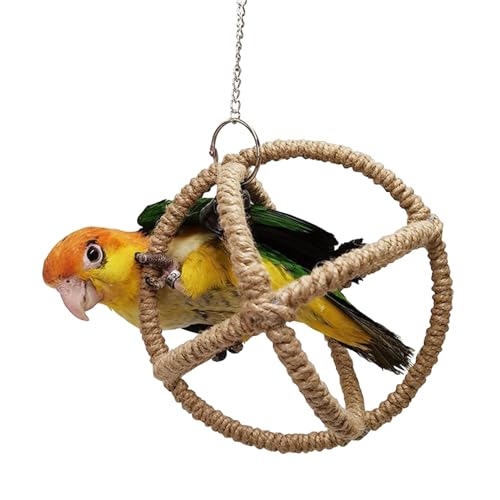 Papageienkauspielzeug mit kleinen Glocken Molarwiderstände Vogelreißspielzeug Nymphensittiche Training Hängende Vögel Käfig Supplies Papagei Kauspielzeug Hängende Leinenseil Papagei Kauspielzeug Papageienkauspielzeug mit kleinen Glocken Molarwiderstände Vogelreißspielzeug Nymphensittiche Training Hängende Vögel Käfig Supplies Papagei Kauspielzeug Hängende Leinenseil Papagei Kauspielzeug von ZBIianxer