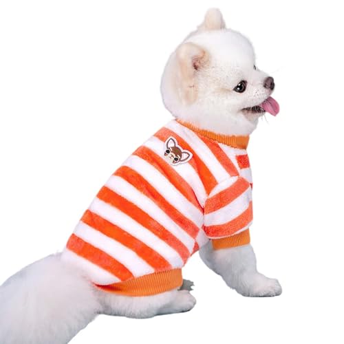 ZBJZUIMEI Hundebekleidung Hundehemden Kleine Hunde Sommer Basis T-Shirt Welpe Kleidung Sweatshirt Weiche Baumwolle Kurzarm Haustierkleidung-orange-XXL ZBJZUIMEI Hundebekleidung Hundehemden Kleine Hunde Sommer Basis T-Shirt Welpe Kleidung Sweatshirt Weiche Baumwolle Kurzarm Haustierkleidung-orange-XXL von ZBJZUIMEI