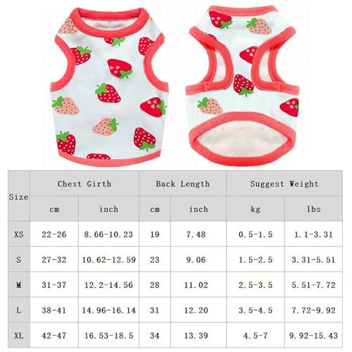 ZBJZUIMEI Hundekleidung Hundehemd Für Kleine Hunde Katzen Süße Cartoon-Print Welpe Katze T-Shirts Tanktops Weiche Atmungsaktiv-Biene-l von ZBJZUIMEI