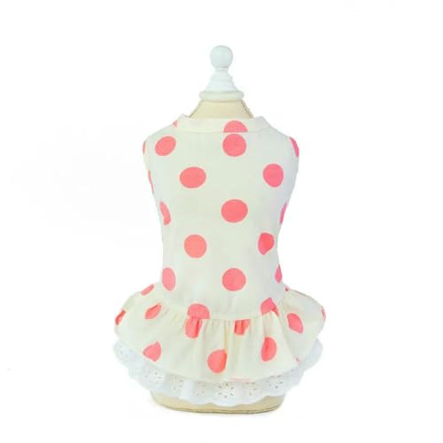 ZBJZUIMEI Hundekleidung Mode Dot Bow Katze Hundekleid Rock Sommer Süße Haustier Prinzessin Kleider Für Kleine Hunde Shih Tzu Yorkshire Kleidung Welpe Kleidung-weißer Roter Punkt-XXL ZBJZUIMEI Hundekleidung Mode Dot Bow Katze Hundekleid Rock Sommer Süße Haustier Prinzessin Kleider Für Kleine Hunde Shih Tzu Yorkshire Kleidung Welpe Kleidung-weißer Roter Punkt-XXL von ZBJZUIMEI