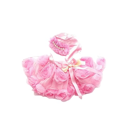 ZBJZUIMEI Hundekleidung Prinzessin Hundekleid Hochzeit Abend Tutu -Rock Für Kleines Hund Mädchen XXL Lila-rosa-XXL von ZBJZUIMEI