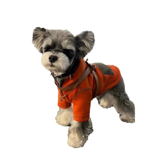 Haustier Hoodie im Vergleich zu Bär, Zwergspitz, kleiner Hund, Teddy-Hund, Herbstkleidung, zweibeinige Kleidung, Kapuzenpullover (L) von ZCMMF