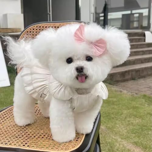 Haustierkleid mit Schleife, Hunde-Hochzeitskleid, Haustierkleidung mit Traktionsring, Größe S von ZCMMF