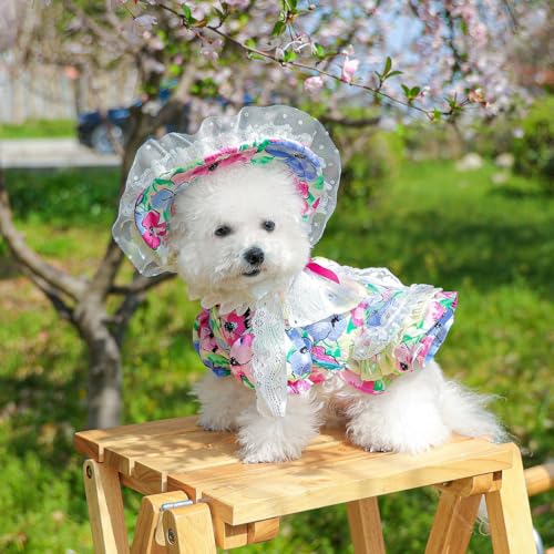 Hundekleid mit Blumenmuster, Spitzenbesatz, plissiertes Design, weißer Kragen, Kleid für kleine Hunde in drei Farben, Hutkleid (Blau, L) von ZCMMF
