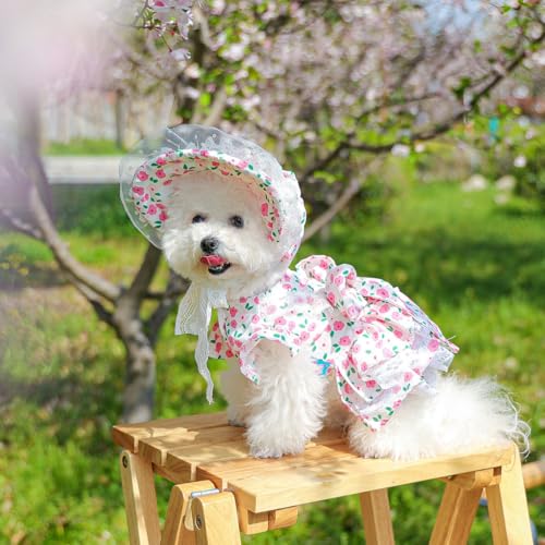 Hundekleid mit Blumenmuster, Spitzenbesatz, plissiertes Design, weißer Kragen, Kleid für kleine Hunde in drei Farben, Hutkleid (Rosa, S) von ZCMMF