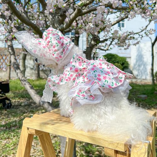 Hundekleid mit Blumenmuster, Spitzenbesatz, plissiertes Design, weißer Kragen, Kleid für kleine Hunde in drei Farben, Hutkleid (Rosa, XS) von ZCMMF