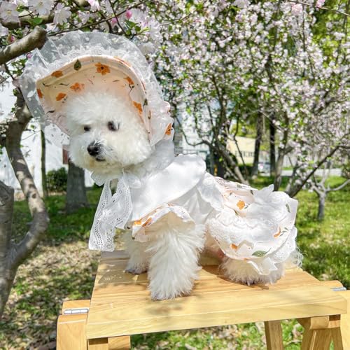 Hundekleid mit Blumenmuster, Spitzenbesatz, plissiertes Design, weißer Kragen, Kleid für kleine Hunde in drei Farben, Hutkleid (gelb, L) von ZCMMF