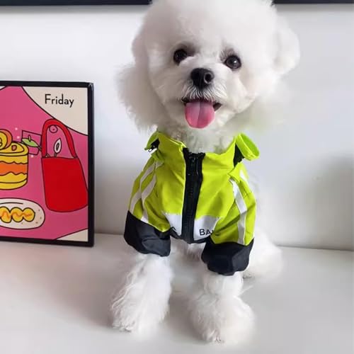 Hundekleidung, wasserdichte Jacke, Teddybär, Schnauzer, kleiner Hund, Haustier Hund (gelb, L) von ZCMMF