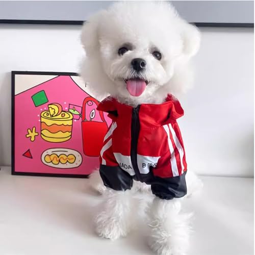 Hundekleidung, wasserdichte Jacke, Teddybär, Schnauzer, kleiner Hund, Haustier Hund (rot, M) von ZCMMF