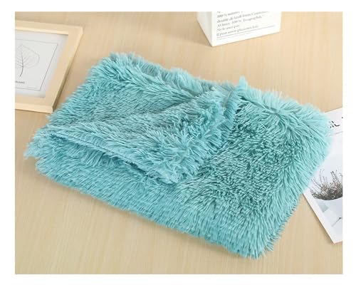 ZCXCsfp Langes Bett für Haustiere, Kätzchen, Matratze, Kunstfell, warm, Katzen- und Hundedecke, Hundehütte, Plüschdecke, rutschfest, flauschig, waschbar, Haustierbett, Kissenauflage (CuiGreen, 100 x ZCXCsfp Langes Bett für Haustiere, Kätzchen, Matratze, Kunstfell, warm, Katzen- und Hundedecke, Hundehütte, Plüschdecke, rutschfest, flauschig, waschbar, Haustierbett, Kissenauflage (CuiGreen, 100 x von ZCXCsfp