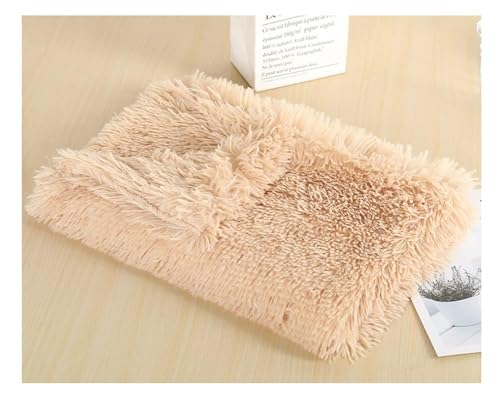 ZCXCsfp Langes Haustierbett, Kätzchen-Matratze, Kunstfell, warm, Katzen- und Hundedecke, Hundehütte, Plüschdecke, rutschfest, flauschig, waschbar, Haustierbett, Kissen (Champagner, 78 x 54 cm) von ZCXCsfp