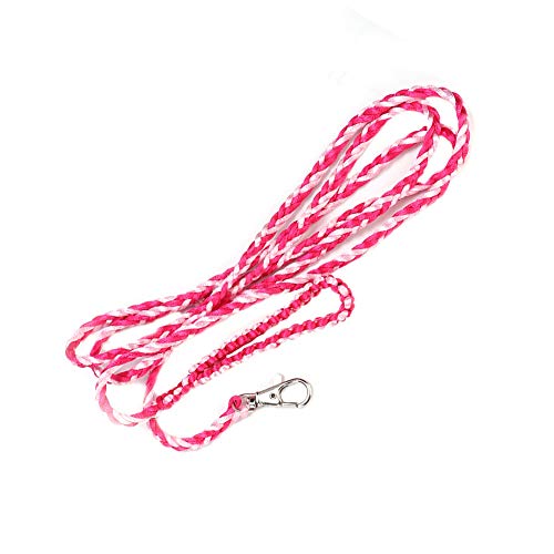 Kleiner Haustier Hamster Guinea Outdoor Leinen Walking -Training Geschirr in und Rose Rot (Rosa + Rosenrot) von ZDETGU