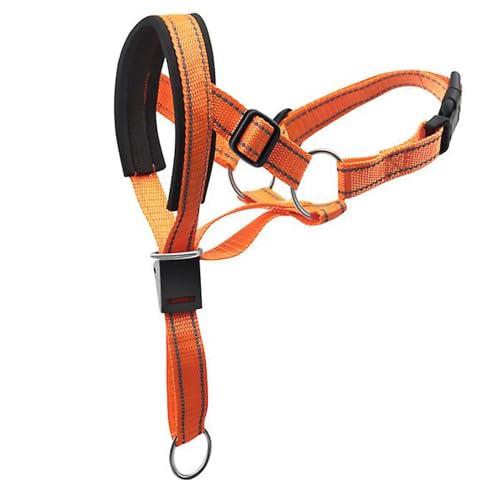 1 Packung Hundemaulkorb, Hundehalsband, Verstellbares Hundehalsband, Verstellbar und Leicht zu Kontrollieren, für Training, Mittelgroße und Große Hunde (Orange) von ZEACCT