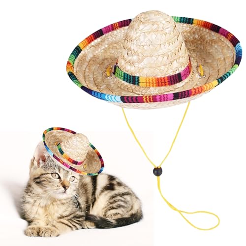 1 Stück Haustier Strohhut, Katzen-Sonnenhut, Haustier Mexikanischen Strohhut, Mini Haustier Sombrero Hut, Party-Dekorationen für Geburtstag für Kleine Haustiere/Welpen/Katze 1 Stück Haustier Strohhut, Katzen-Sonnenhut, Haustier Mexikanischen Strohhut, Mini Haustier Sombrero Hut, Party-Dekorationen für Geburtstag für Kleine Haustiere/Welpen/Katze von ZEACCT