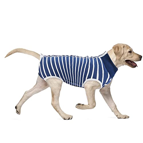 Chirurgische Erholungsanzug, Hunde Chirurgenanzug, Heilungsanzüge Hunde Haustier Anti-Lecken Atmungsaktiv Chirurgenanzug, Kegel-E-Halsband-Alternativen (M, Streifen Blau) von ZEACCT