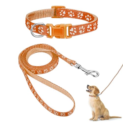 Hundehalsband und Leinen-Set, Welpenhalsband, Haustierleinen-Halsband, Halsband und Leine für Kleine und Mittelgroße Hunde, Haustierkatzenhalsband und Leine von ZEACCT