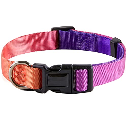 Nylon Hundehalsband, Hundehalsband, Weich Gepolstertes Neopren Nylon Hunde Halsband für Welpen Kleine Mittlere Große Hunde, Verstellbare Halsband Hund für das Training Taktisches Hundehalsband von ZEACCT