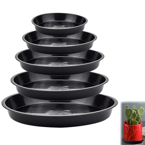 ZEACCT 5er-Pack Pflanzenschalen, Rundes Plastikpflanzentablett, Flaches Seitentablett für Blumentöpfe, Robustes, Langlebiges Pflanzentablett für Innen- Und Außengärten – Schwarz ZEACCT 5er-Pack Pflanzenschalen, Rundes Plastikpflanzentablett, Flaches Seitentablett für Blumentöpfe, Robustes, Langlebiges Pflanzentablett für Innen- Und Außengärten – Schwarz von ZEACCT