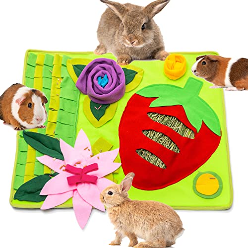 ZEEMIAS Kaninchen-Futtermatte – interaktives Puzzle-Haustier-Heu-Futterstation, weiches Polarfleece, rutschfeste Futtermatte für den Innenbereich, für Hasen, Meerschweinchen, Igel, kleine Tiere ZEEMIAS Kaninchen-Futtermatte – interaktives Puzzle-Haustier-Heu-Futterstation, weiches Polarfleece, rutschfeste Futtermatte für den Innenbereich, für Hasen, Meerschweinchen, Igel, kleine Tiere von ZEEMIAS