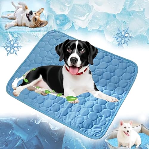 ZEIEYA Kühlmatte für Den Sommer, kühlmatte für Hunde Selbstkühlende Matte für Haustiere Summer Pet Ice Pad Abrieb und Bissfest Natürliche Kühlung, Rutschschutz Mehrere Größen (Blau, M) von ZEIEYA