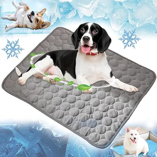 ZEIEYA Kühlmatte für Den Sommer, kühlmatte für Hunde Selbstkühlende Matte für Haustiere Summer Pet Ice Pad Abrieb und Bissfest Natürliche Kühlung, Rutschschutz Mehrere Größen (Grau, XS) von ZEIEYA