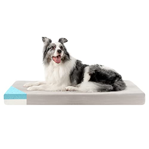 ZENAPOKI Hundebett - M - Orthopädisches Hundekissen für Hunde, Gut die Gelenke - Waschbar Abnehmbare Bezug, 80x50x9cm von ZENAPOKI