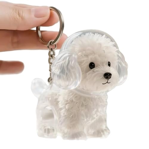 ZEPFJHE Clear Hunde Haarspeicher Charme Schlüsselkain Memorial Schmuck Haustier Pelzen Sammler Ansichten Für Tierbesitzer Kensionses Geschenkliebhaber Anpassbare Gedenkschmuck ZEPFJHE Clear Hunde Haarspeicher Charme Schlüsselkain Memorial Schmuck Haustier Pelzen Sammler Ansichten Für Tierbesitzer Kensionses Geschenkliebhaber Anpassbare Gedenkschmuck von ZEPFJHE