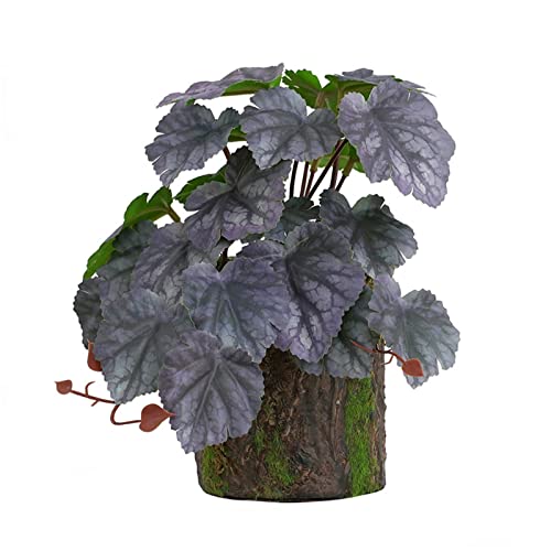 ZEPFJHE Habitat For Decor Habitat Decor Bonsai Für Eidechsen Schlangen Frosch von ZEPFJHE