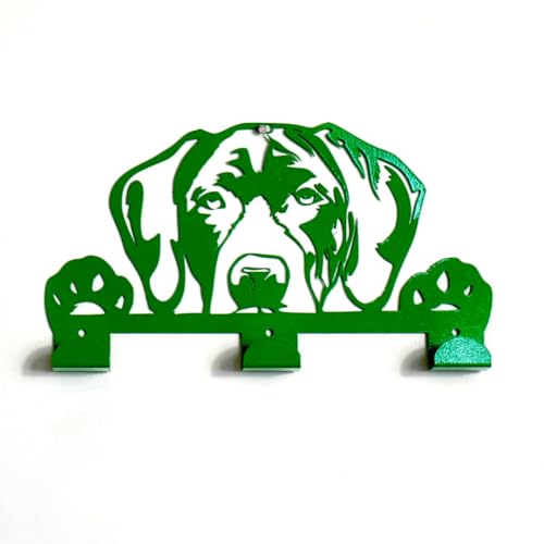 ZOIMANIA – Hundeleine aus lackiertem Stahl – personalisiertes Design mit der Rasse Ihres Hundes (Dassotto, 1) von ZEROINOX