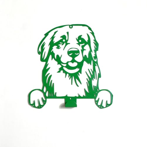 ZOIMANIA – Hundeleine aus lackiertem Stahl – personalisiertes Design mit der Rasse Ihres Hundes (Golden Retriver 2, 1) von ZEROINOX