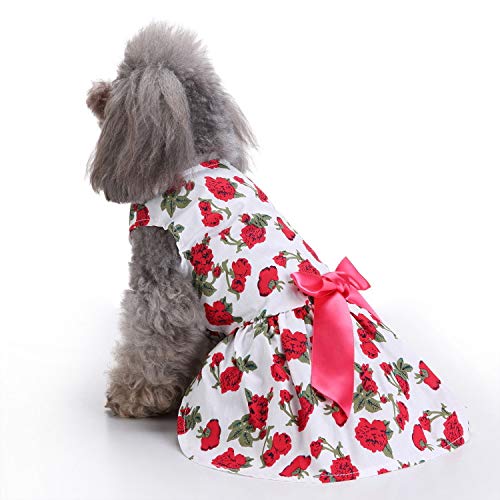 ZESLIV Haustier Kleiner Hund Prinzessin Kleid Gestreifte Tutu Röcke Katze Welpen Kleidung Hochzeitsfeier Kostüm von ZESLIV