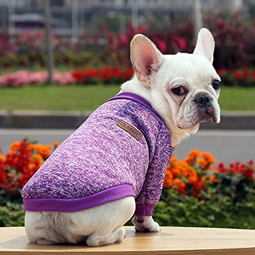 ZESLIV Hunde Kleidung für kleine Hunde Niedlicher für Welpen Small Medium Large Dog Herbst und Winter von ZESLIV