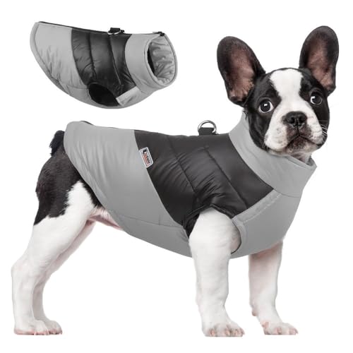 ZESLIV Hundejacke Winterweste wasserdichte Welpen Weste Hunderegenmantel für Mittelgroße Große Hunde, Grau ZESLIV Hundejacke Winterweste wasserdichte Welpen Weste Hunderegenmantel für Mittelgroße Große Hunde, Grau von ZESLIV