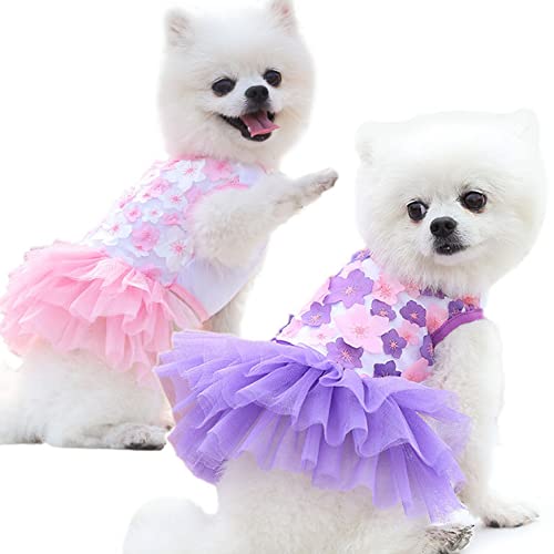 ZESLIV Stripe Cute Pet Skirt Puppy Princess Skirt Pet Summer Apparel Frühling und Sommer für kleine Hunde und Katzen von ZESLIV