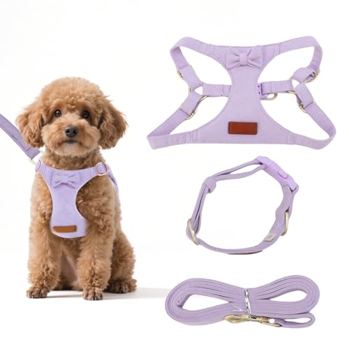 Hundegeschirr Kleine Größe, Hundegeschirr mit Leine, verstellbares Brustgeschirr Französische Bulldogge, Chihuahua, Hundegeschirr Kleine Größe für Spaziergänge, Laufen (Purple, S) von ZESTEFY