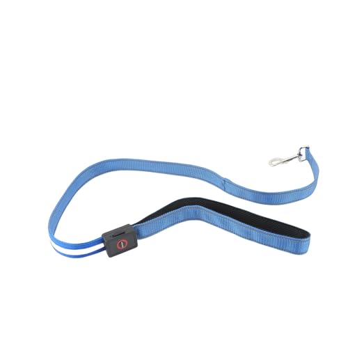 LED Hundeleine 1,2 m USB-Aufladbar, Wasserdicht & Reflektierend – Leuchtendes Halsband für Hunde mit 4 Lichtmodi für Nachtsicherheit, Geeignet für Große/Mittel Hunde (Blau) von ZESTEFY
