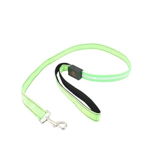 LED Hundeleine 1,2 m USB-Aufladbar, Wasserdicht & Reflektierend – Leuchtendes Halsband für Hunde mit 4 Lichtmodi für Nachtsicherheit, Geeignet für Große/Mittel Hunde (Grün) von ZESTEFY