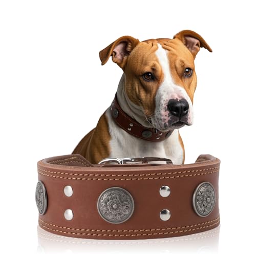 Lederhalsband Hund, 5cm Hundehalsband Leder Breit, Einstellbar Hunde Halsbänder Mit Metallschnalle, Halsband Hund Breit Für Große Und Mittelgroße Hunderassen (Braun, L) von ZESTEFY