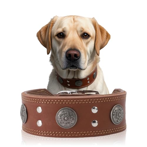 Lederhalsband Hund, 5cm Hundehalsband Leder Breit, Einstellbar Hunde Halsbänder Mit Metallschnalle, Halsband Hund Breit Für Große Und Mittelgroße Hunderassen (Braun, XL) von ZESTEFY