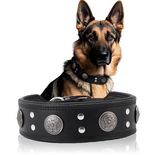 Lederhalsband Hund, 5cm Hundehalsband Leder Breit, Einstellbar Hunde Halsbänder Mit Metallschnalle, Halsband Hund Breit Für Große Und Mittelgroße Hunderassen (Schwarz, XL) von ZESTEFY