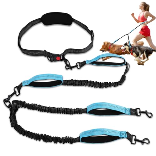 Leine Für 2 Hunde, Freisprechen Joggingleine Hunde Mit Bauchgurt, Elastische Bauchgurt Hundeleine, Ruckdämpfung Jogging Leine Hundeleine Mit Doppelgriff Für Große Und Mittelgroße Haustier Leine Für 2 Hunde, Freisprechen Joggingleine Hunde Mit Bauchgurt, Elastische Bauchgurt Hundeleine, Ruckdämpfung Jogging Leine Hundeleine Mit Doppelgriff Für Große Und Mittelgroße Haustier von ZESTEFY