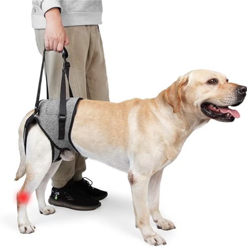 Tragegeschirr Hund, Verstellbare Hundegeschirr Grosse Hunde, Anti Zieh Geschirr Für Hunde, Tragbares Hundegeschirr Für Die Hinterbeine Mit Schwammgriff Für Unterstützung Und Rehabilitation Geeignet Tragegeschirr Hund, Verstellbare Hundegeschirr Grosse Hunde, Anti Zieh Geschirr Für Hunde, Tragbares Hundegeschirr Für Die Hinterbeine Mit Schwammgriff Für Unterstützung Und Rehabilitation Geeignet von ZESTEFY
