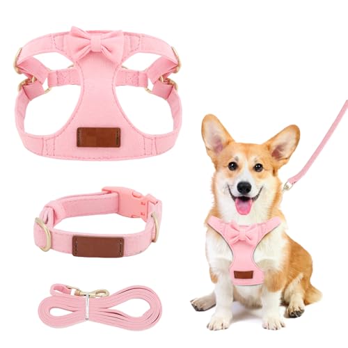 Welpengeschirr Verstellbar, Atmungsaktives Brustgeschirr für Kleine Hunde mit 1,5m Leine – Sicher, Bequem & Reflektierend – Anti-Zug Design für Spaziergänge, Joggen und Outdoor-Abenteuer (XS) von ZESTEFY